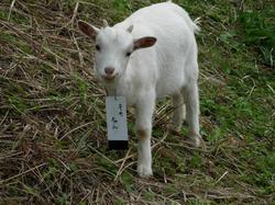 新しい社員を紹介します